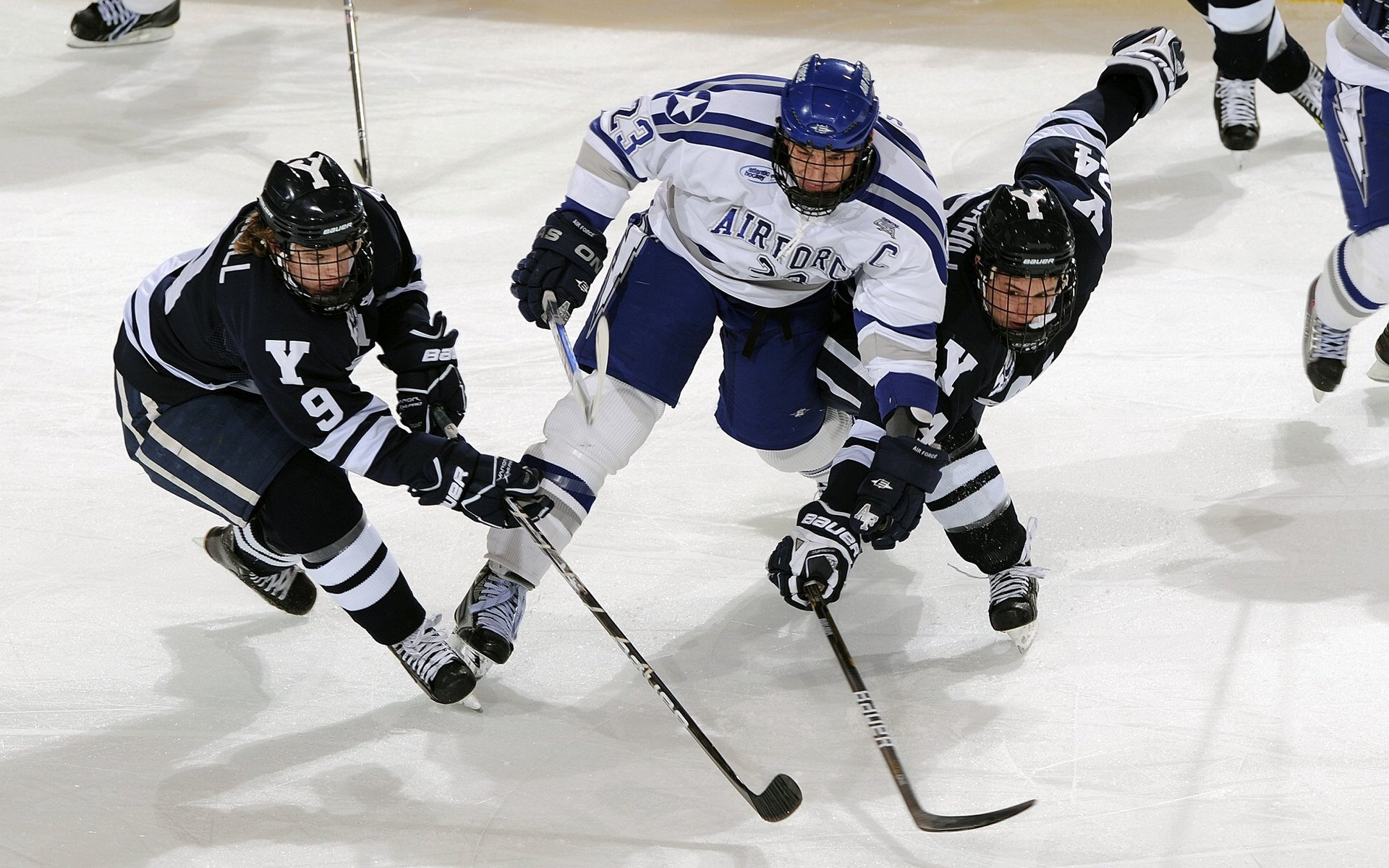 “金牛区城北体育馆：运动舞蹈赛上，舞者们以舞步挑战极限，震撼赛场”